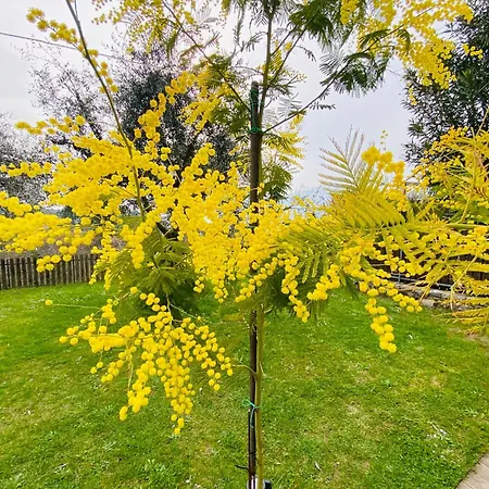 Casa Di Malce Malcesine