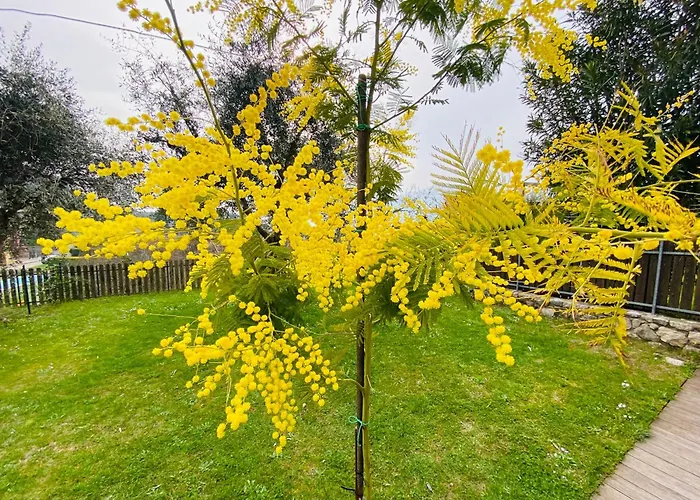 Casa Di Malce Malcesine